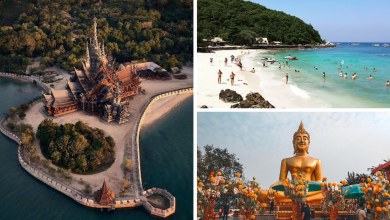 Photo of Top 10 Most Interesting Things To Do In Pattaya 2020 Guide