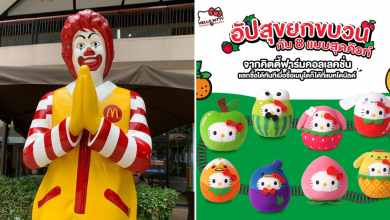 Photo of McDonald’s Thailand Has The Cutest Hello Kitty Farm Doll & Bag For A Limited Time Only