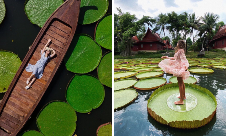 Photo of This Hidden Cafe Has The Most Instagrammable Pond With Giant Lotus Leaves In Phuket