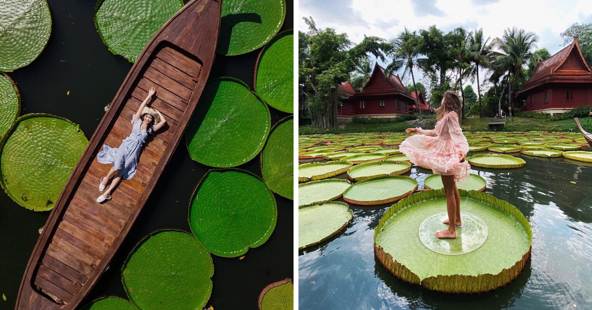 This Hidden Cafe Has The Most Instagrammable Pond With Giant Lotus
