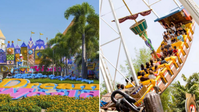 Photo of Dream World Amusement Park Thailand Now Offers 40% Off On Unlimited Pass