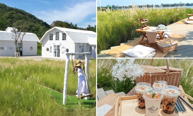 Photo of This Lakeside Cafe In Thailand Is Surrounded By A Lush Green Wheat Field