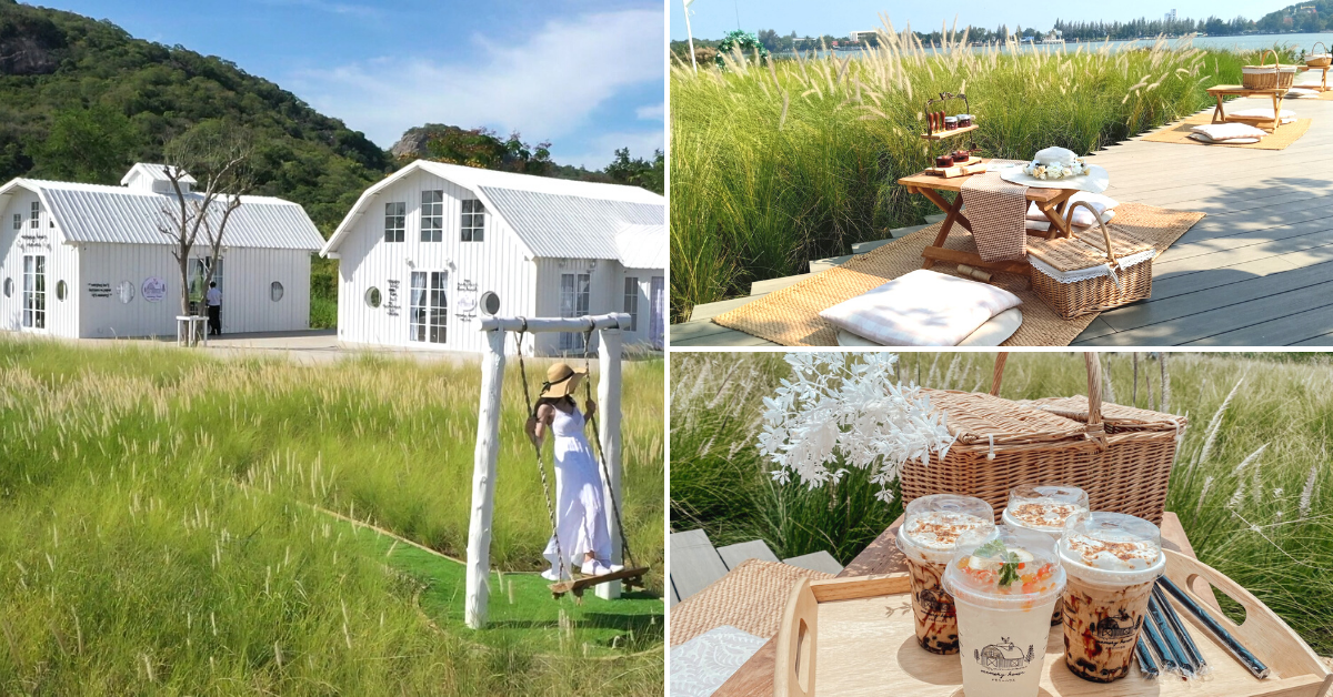 This Lakeside Cafe In Thailand Is Surrounded By A Lush Green Wheat Field Bangkok Foodie