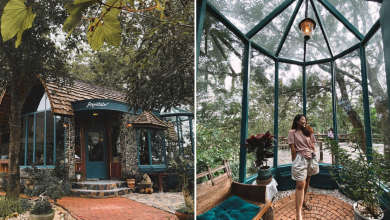 Photo of This Enchanting Forest Cafe In Thailand Looks Straight Out Of A Fairytale