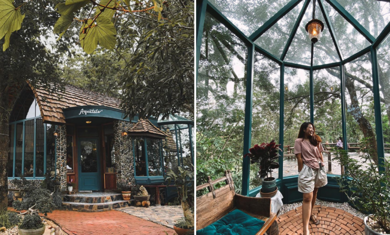 Photo of This Enchanting Forest Cafe In Thailand Looks Straight Out Of A Fairytale