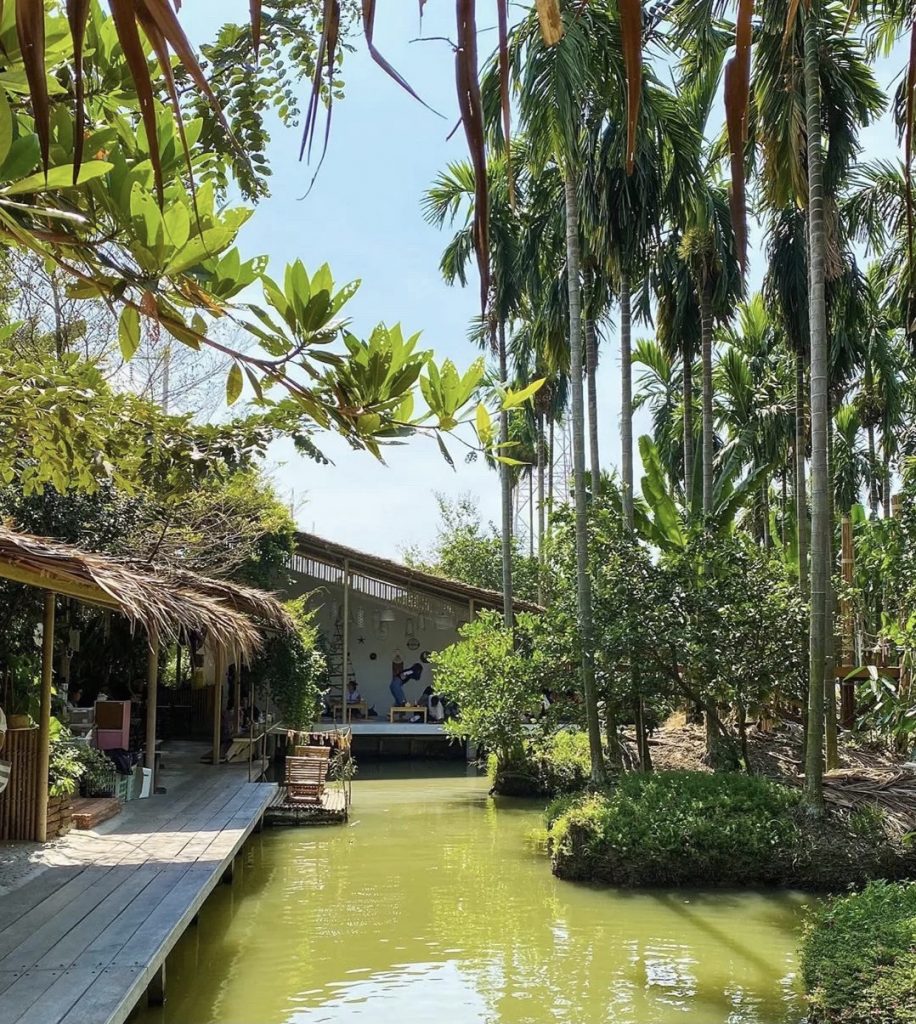 This Cafe in Thailand is Nestled in a Coconut Garden and It Allows You ...