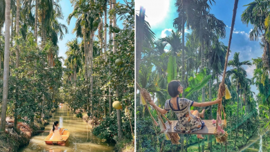 Photo of This Cafe in Thailand is Nestled in a Coconut Garden and It Allows You to Kayak Along The Canal