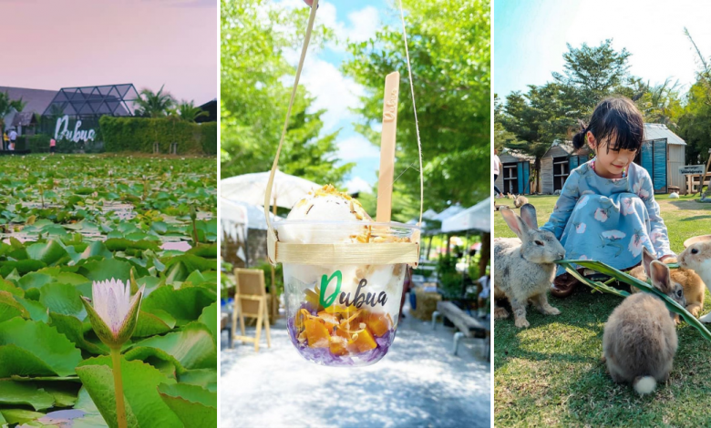 Photo of This Cafe in Thailand Sits Atop of a Lotus Pond and Has an Animal Petting Farm