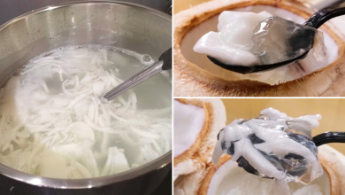 Photo of Here’s How To Make Refreshing Coconut Jelly Using Only 5 Ingredients