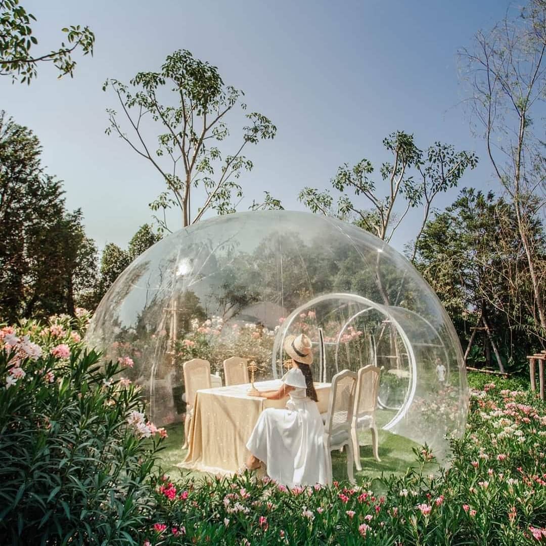 Bubble In The Forest Cafe Thailand